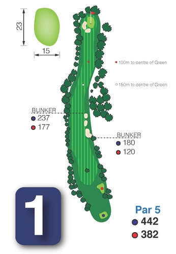 Hole-11.jpg